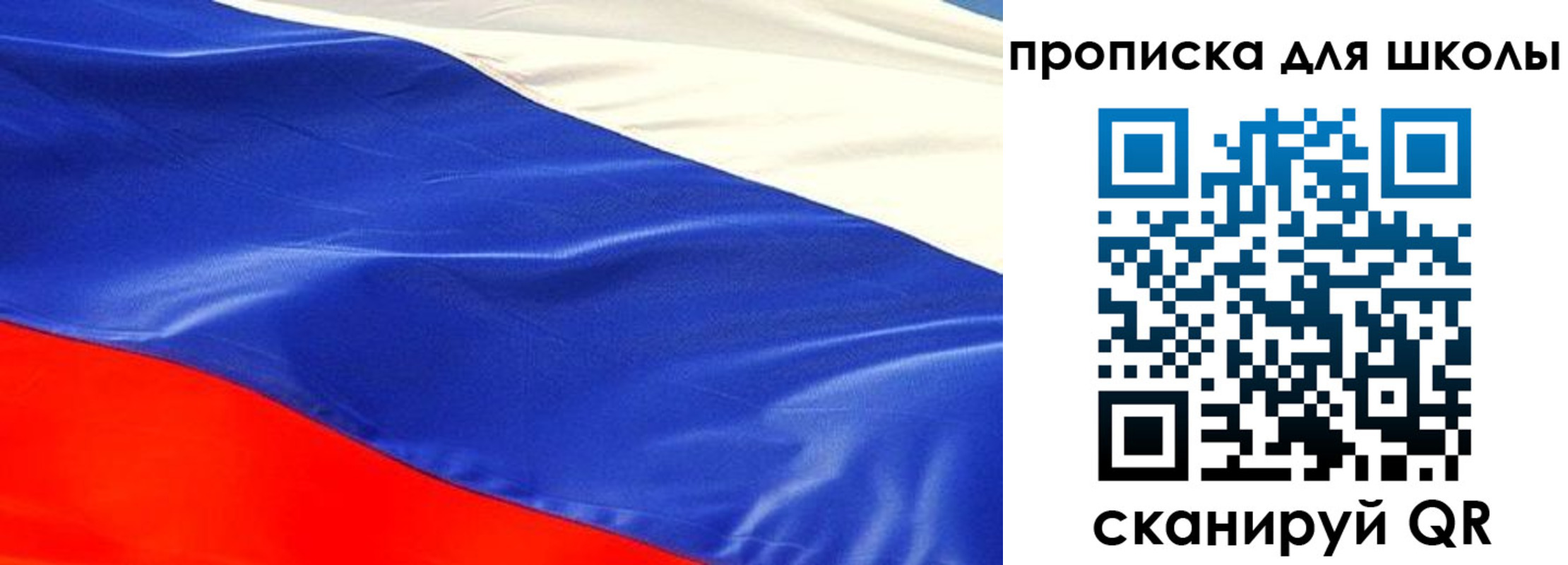 прописка гарантия в Карабаново